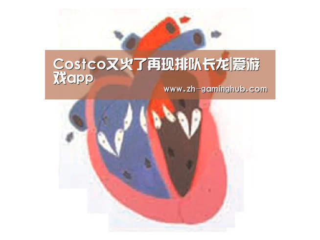 爱游戏直播