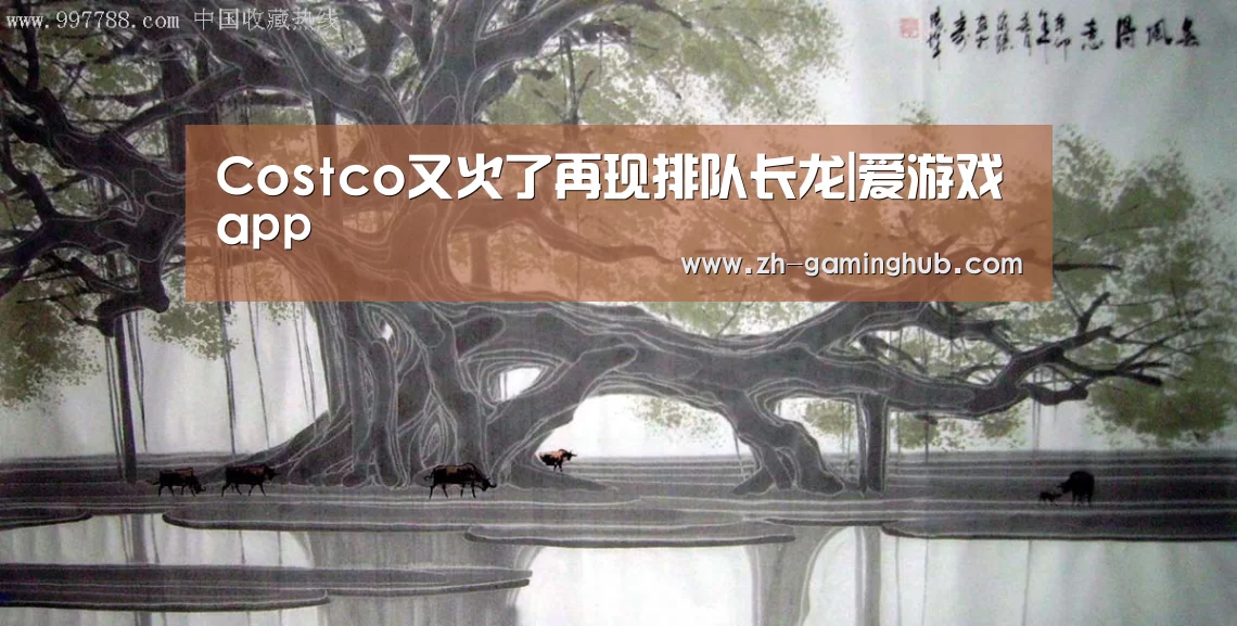 爱游戏官方入口